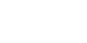 Fissler