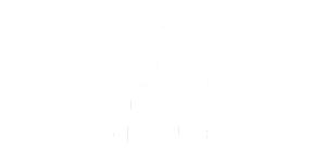 Publicis