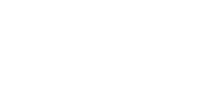 Sapient